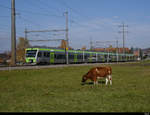 BLS - Regio nach Bern mit den Triebwagen RABe 525 024 + 525 ??? unterwegs bei Lyssach am 31.10.2020