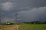 NINA 16 flchtet am 26.05.20140 bei Kiesen vor einem Gewitter.