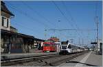 Während zwei SBB THURBO GTW RABe 526 AM Bahnsteig in Rheineck stehen (bzw.