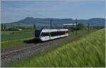 Der Thurbo GTW 526 735-6  Rümikon  ist im Klettgau zwischen Neunkirch und Wilchingen-Hallau auf dem Weg nach Erzingen (Baden). 

15. Mai 2022