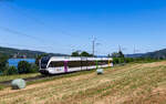 RABe 526 785 als S 11145 (Will - Feuerthalen) bei Eschenz 29.5.26