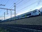 Die S-Bahn MIKA RABe 528 212 für die BLS die am 4.3.24 bei Frutigen steht.