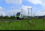 BLS - MIKA (S-Bahn Version 2 Türen Pro Wagenkastenteil) RABe 528 206-6 unterwegs nach Bern - Thun bei Lyssach am 2024.05.08