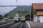 13.09.2025: VPM RBDe 566 II 241 & BLS RABe 528 218 / Zweisimmen  
