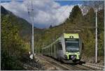 Ein Bild, welches so auch heute hätte  gemacht werden können, bleibt doch die BLS ihre Namen treu und fährt mit einigen, wenigen Reisezügen trotz der Chinesischen Fledermausgrippe weiterhin von Bern nach Domodossola.  
Selbstverständlich entstand dies Bild zu einem früheren Zeitpunkt und zeigt den BLS RABe 535 102  Lötschberger  bei der Ausfahrt (und Spurwechsel) in Varzo.

27. Okt. 2017 