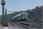 Während in Mülenen der BLS RABe 535 117 und ein weiterer nach Domodossola bzw. Brig unterwegs sind, zeigt sich das eigentliche Motiv links im Bild: Das Signal S 207 zeigt ein  Signalbild, welches es gar nicht gibt, es entstand wohl gerade in den Moment, als von  Warnung  auf  Freie Fahrt  umgeschaltet wurde und für einen sehr kurzen Moment aus Sicherheitsgründen beide Lichter leuchteten.
 
14. April 2021