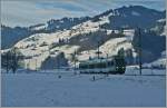 Winter im Simmental: Ein  Lötschberger  ereicht als Regionlazug 6216 Boltigen.