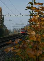 Herbst!   NPZ nach Villeneuve bei Lausanne am 1.