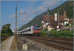 Bei Kilometer 93.6 ended von Westen her die Doppelspur und der SBB RBDe 560 wird gleich auf die kurze Einspurstrecke �bergehen am h�bschen Ort Ligerz vorbei fahren und bereits in Twann wieder auf die