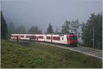 Der Travys Regionalzug 6013 von Vallorbe nach Le Brassus hat das Vallée de Joux erreicht und fährt nun durch den Nebel dem Lac Brennet entlang nach Le Pont.