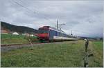 Der NPZ RBDe 560 004-2 mit seinem RE 18123 von Frasne nach Neuchâtel hat Frankreich verlassen und fährt nun bei Kilometer 41, wie links im Bild zu sehen, in Richtung Les Verrières,