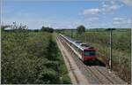 Dieser SBB NPZ RBDe 562 ist als RE 18124 von Neuch�tel nach Frasne unterwegs und hat kurz nach La Rivi�re-Drugeon sein Ziel schon fast erreicht. In Frasne hat der NPZ Anschluss an den TGV Lyria von Lausanne nach Paris Gare de Lyon. 

21. August 2019