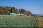 Ein RBDe 565 mit ABt 977 unterwegs als S2 nach Flamatt. Hier zwischen Worb SBB und Gümligen