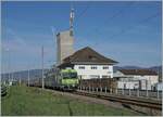 Früher fast unabdingbar auf jeder Landstation: ein Landwirtschaftlicher Betrieb mit einem unübersehbaren Silo bzw Lagerturm, so auch in Büren an der Aare. Das Landi Gebäude steht noch, erfüllt auch noch seinen Zweck, allein die umweltfreundliche Bedienung der Bahn ist abhanden gekommen, dafür wäre die Infrastruktur in Büren mit seinen zwei Prellböcken und dem Weichen losen Bahnhof auch kaum geeignet.  
Das Bild zeigt den BLS RBDe 565 731 (94 85 7 565 731-7 CH-BLS) mit dem Regionalzug 6563 bei der Ankunft in Büren an der Aare.

19. April 2022