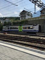 Am 3.7.15 stand der RBDe 565 732  Erlenbach  Solo beim Bhf Spiez abgestellt.