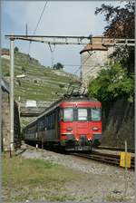 Der SBB RBe 540 010-6 schiebt einen HVZ RE bei Rivaz in Richtung St-Maurice.