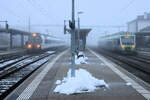 Nebliger Morgen am Bahnhof Murten: rechts BLS NINA 003 als Berner S-Bahn S5, links ein Domino-Zug der SBB (Triebwagen 560 243), der gerade in die Farben der TPF (Transports Publics Fribourgeois)