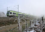 Aus dem Nebel heraus kommt eine Berner S-Bahn (S44). Der vordere Zug (BLS NINA 525 027) fährt über Bern nach Burgdorf, Wiler und Solothurn, der hintere Zug (BLS NINA 525 025) über Bern und Burgdorf weiter nach Ramsei und Sumiswald im Emmental. Wabern, 16.Januar 2022  