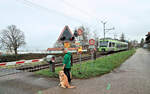 Die Broye-Linie Kerzers - Payerne wird auch von BLS-Zügen befahren, hier NINA 525 014 in Faoug am Murtensee.