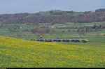 Eine NINA-Doppeltraktion fährt am 10. April 2016 als S44 bei Thurnen in Richtung Bern.