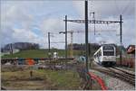 50 km/h pro Stunde darf der Regionalzug S50 14826, bestehend aus dem Be 2/4 106, B und ABe 2/4 106 Richtung Montbovon beim Verlassen des Bahnhofs von Châtel St-Denis fahren. 

Richtung Palézieux sind 55 km/h zugelassen, doch 55 km/h wird hier kein Zug mehr fahren, denn die Strecke ist stillgelegt und überraschend viele Gleise und Fahrleitungsabschnitte entfernt worden, die freilich bis zur Eröffnung des Durchgangsbahnhofs von Châtel St-Denis, hier im links im Bild zu erkennen, wieder aufgebaut werden. 

10 März 2019
