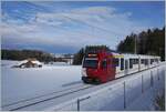 Wind, der warme Luft zuführte lies schon bald den Schnee zumindest auf den Bäumen schmelzen, wie dies Bild des TPF  ABe 2/4 - B - Be 2/4 103 zwischen Vaulruz Sud und Le Verrerie zeigt.