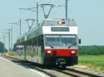 asm Seeland - GTW Be 2/6 501 und Be 2/6 502 unterwegs bei Ins am 17.06.2013