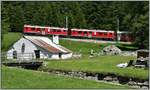 Bernina Express PE974 mit ABe 4/4 III 52  Brusio  und 53  Tirano  oberhalb von Cavaglia.