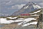 BerninaExpress 961 mit ABe 8/12 3509 am halb leeren Lago Bianco auf dem Berninapass.