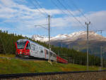   Geführt von dem RhB ALLEGRA-Zweispannungstriebzug (RhB ABe 8/12) 3506  Anna von Plantai  erreicht der RhB Regio-Zug nach Tirano am morgen des 13.09.2017 bald den Bahnhof Pontresina.