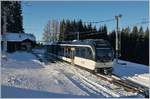 Obwohl Les Pléiades die Gipfelstation ist, sorgten einige Bäume für überraschend viel Schatten, so dass mir bei der Abfahrt des CEV MVR GTW ABeh 2/6 7503  Blonay-Chamby  nur dies