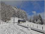 In der Winterlandschaft der Waadtländer Alpen ist der CEV MVR Surf ABeh2/6 7505 kurz vor Fayaux als Regionalzug 1432 von Les Pléiades nach Vevey unterwegs.