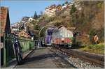 Der Rochers de Naye Bhe 4/8 303 und ein weiterer Bhe 4/8 sind auf dem Weg zum Rochers de Naye.