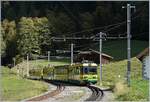 Etwas oberhalb von Lauterbrunnen schiebt der WAB Pano Bhe 4/8 150 seinen Zug Richtung Kleine Scheidegg.