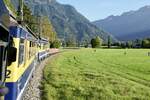 Die Abschiedsfahrt mit den ABeh 4/4 II 311–313 am 19.9.25 kurz vor Interlaken Ost.