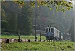 La DER du Blonay Chamby / Saison Abschluss der Blonay Chamby Bahn 2024 - Bei herbstlicher Stimmung ist der MCM Triebwagen BCFeh 4/4 N� 6 (Baujahr 1909) bei Chaulin auf dem Weg nach Blonay.