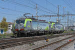 Doppeltraktion, mit den Siemens Vectron 475 409-9 und 475 423-0 der BLS durchfährt solo den Bahnhof Pratteln.