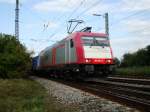 Notschlachtung: Am 27.09.2008 kam die Crossrail-BR 185 591 mit ihrem GZ hinter den Bschen hervor...