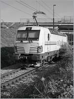 Die Rail Care Rem 476 453-6 VAUD (UIC 91 85 4476 43-6 CH-RLC) in Vufflens-la-Ville beim rangieren.