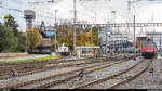 Aarberg, 2. November 2019. In der Zuckerfabrik herrscht Hochbetrieb mit dem Entladen der eingetroffenen Zuckerrübenzüge. Im Abstellgleis warten die soeben eingetroffenen Re 4/4 II 11294  Knie  und 11345, sowie die Re 4/4 II 11178 auf ihre nächsten Einsätze.