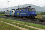 Widmer Rail Services AG/WRS.