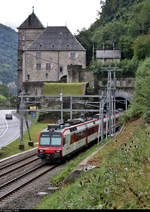 Nachschuss auf RBDe 560 408-7 (RA08 | DO RA 94 85 7 560 408-7 CH-RA) am nördlichen Portal des Tunnel Saint-Maurice (CH).