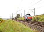Die kleine Zweisystemlok Eem 923 (Nr. 023) hat eine Reihe von Rungenwagen Richtung Westen befördert und kommt nun durch den Nebel leer zurück Richtung Auvernier am Neuenburgersee. 8.Oktober 2025 