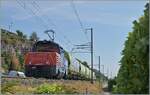 Die SBB Cargo Eem 923 030-1 ist mit vier Getreidewagen bei Ligerz auf dem Weg in Richtung Neuch�tel. 

16. Juli 2026