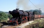 33 087  bei Mali Izvor  22.08.06