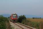 711 002 mit dem PT2606 von Vrsac nach Belgrad am 23.08.14.