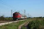 Nochmals PT2904 mit 441 031 kurz vor Norzina am 26.08.14.