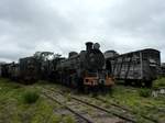 Mehrere Dampflokomotiven im National Railway Museum of Zimbabwe in Bulawayo am 14.12.2014.