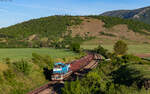 736 021 mit dem 82211 (Ple�ivec - Veľk� Ida) bei Dvorn�ky-Včel�re 5.5.26
