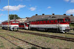 757 007 und 754 004 Taucherbrillen am 6.9.26 bei Kosice.